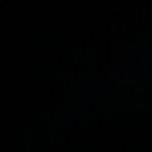 Meet your Posher, Harrison